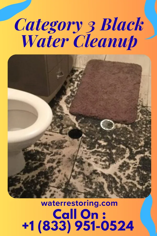 Category 3 Black Water Cleanup in Little City, OK